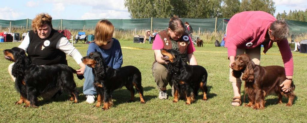 SU(U)CH WW-08 Kingsmist Archer med SUCH Vätterbygdens Beatrice Aurore, SU(U)CH Vätterbygdens Beate Christine, Vätterbygdens Baltzar von Platen 3 Periwinkle s Cassia med Fieldfare Blueberry, Fieldfare