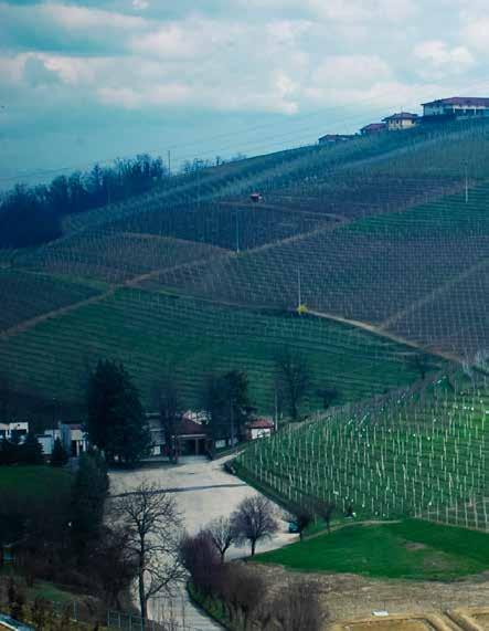 Nebbiolo Prima 2013 2010 Barbaresco För denna grupp fann jag fem olika producenter som imponerade med sina viner.
