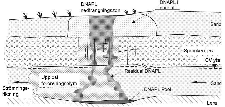 SANDSTRÖM DNAPL kan förekomma både som fri fas och delvis lösta i vatten, löst fas. De är lättflyktiga och förångas från både fri och löst fas och förekommer i gasform i jorden.