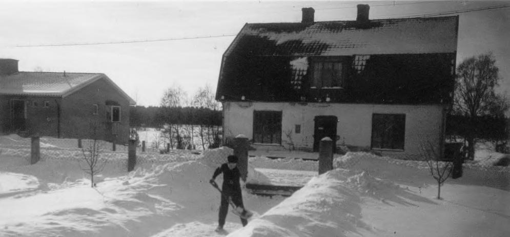 skickadestillleverantörernasomfickbetalningden15:evarjemånad.rekvireratsmör,silvadd ochdyliktvarnoteratibladetochavräknat.skummjölkenfickköpastillbakaavvarjebondeför2 öreperliter.