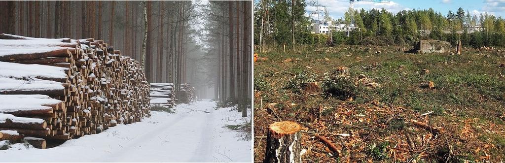 1 Introduktion Introduktionskapitlet ger insyn till det som legat till grund för arbetet samt de mål som efter avslutat projekt ska vara uppfyllda. 1.