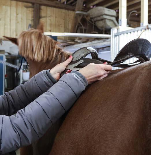 Ändå kräver vi att den ska prestera till 100 procent, säger Ulrika och fortsätter: En för vid bom sjunker i stället ner för långt mot manken, sadeln lyfter baktill och ligger inte stilla.