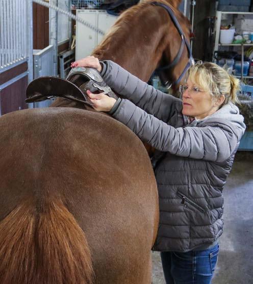 tema Sadelskola Var stropparna sitter och vilka vi använder påverkar sadelns balans på hästryggen, samt förstås var gjorden hamnar.