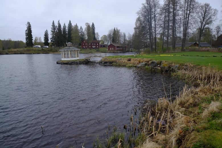Foto över strandkanten där det är gräsmatta.