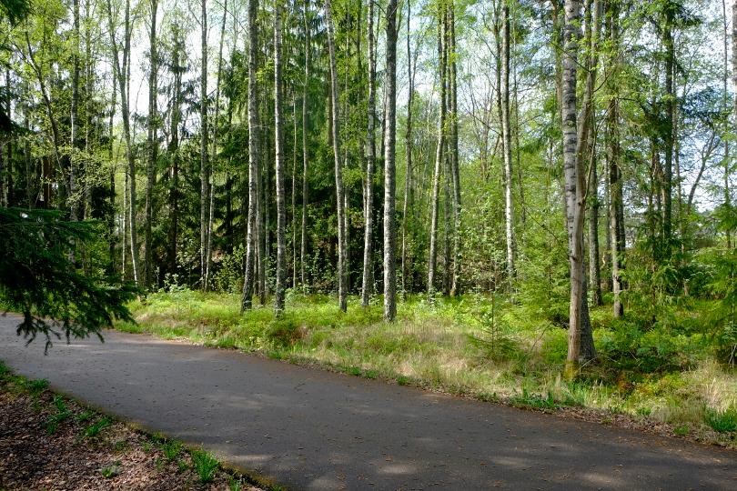 6.1 Delområde A Delområdet består av yngre tal och björk med risbotten av blåbärstyp samt gräsbotten. Utmed lövnäsleden är det lövuppslag.