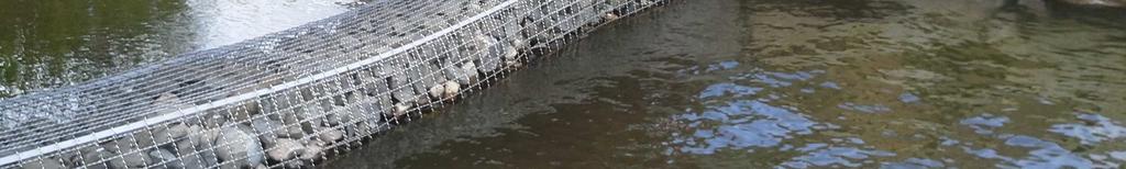 Utfiskning av kräftor är dock svårt och kan ta några år eftersom man inte kan fånga de små kräftorna.