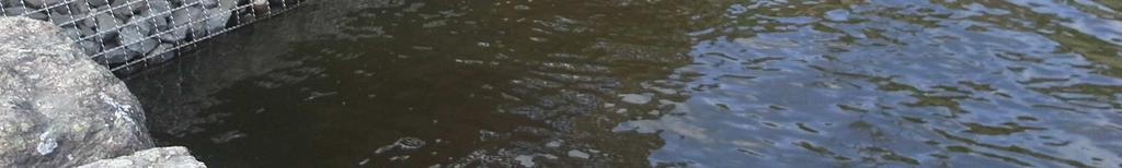 Ombyggnation av Lagunernas utlopp för att undvika återmigration av fisk från Växjösjön För att förhindra återmigration av vitfisk från