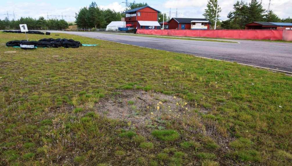 Sammantaget innebär detta att en motorbana, rätt skött, kan hålla mycket höga naturvärden och fungera som refug för biologisk mångfald.