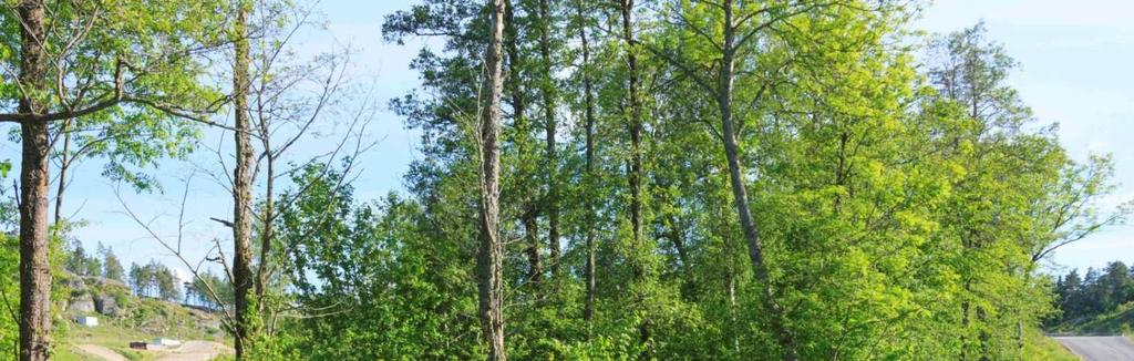 Med andra ord: Nedlagda banor innebär ofta en förlust för naturvården och Nationella naturvårdsmål!