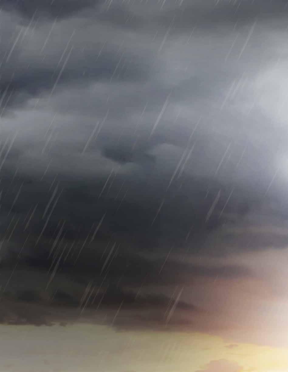 LET IT RAIN, Caparols premiumprodukter leder utvecklingen inom perfekt lyster med max två