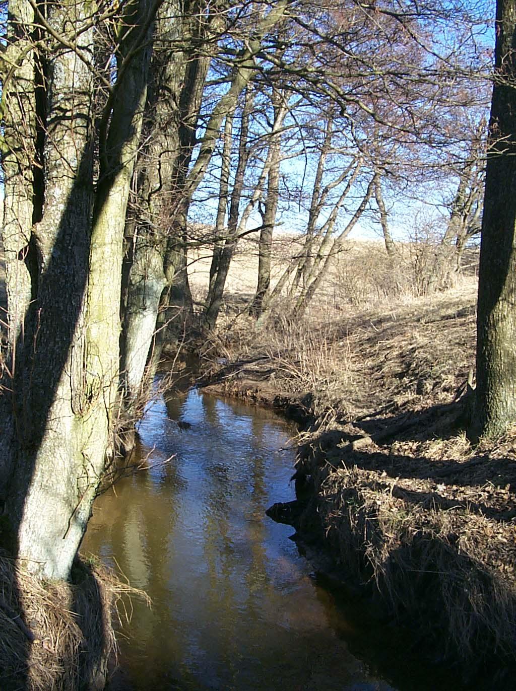 Vårvinter i Halland, typområde N 34 (Foto: J. Kreuger, 2003) Distribution: Pris: 50:- (exkl.