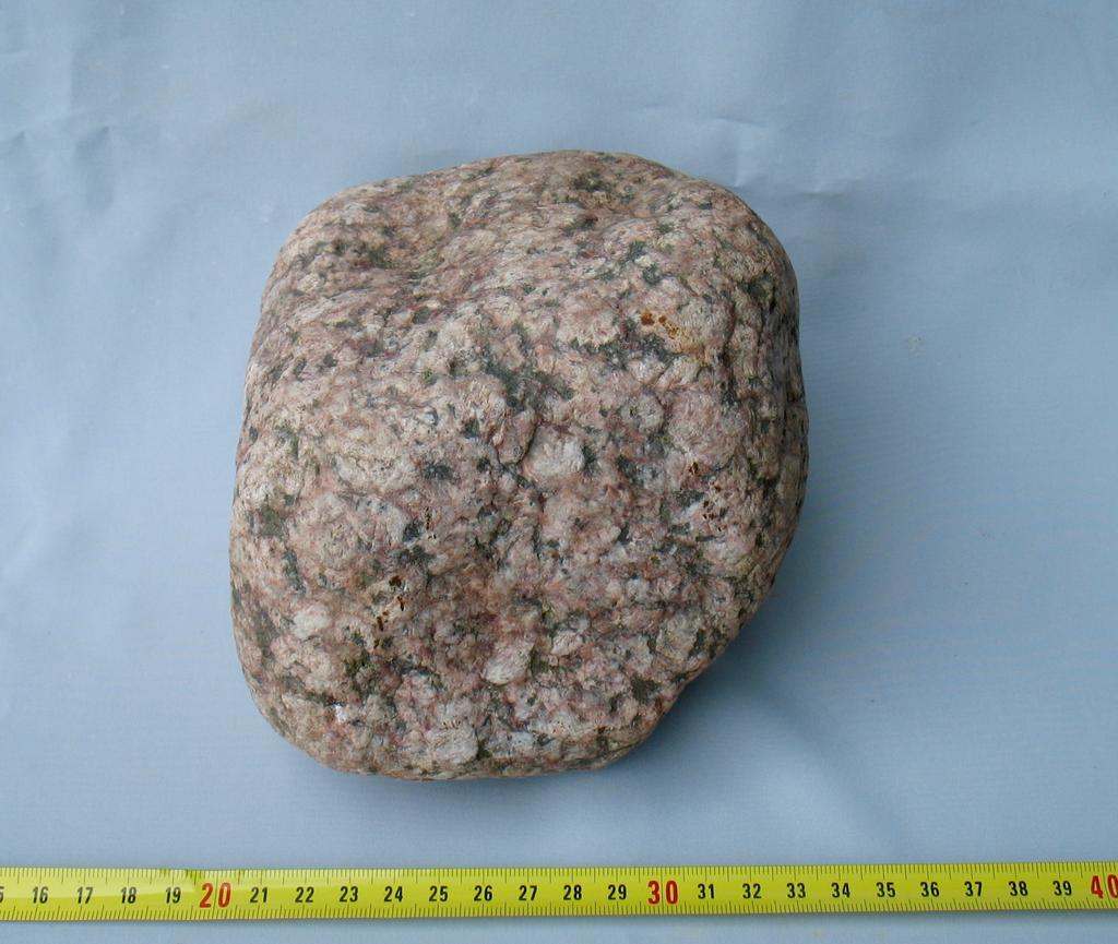 ! Fig. 2: (IMG_336.