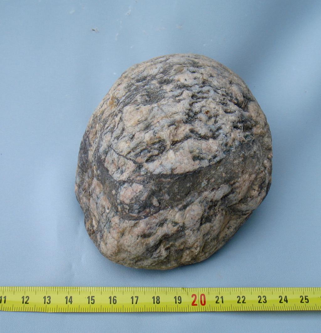! Fig. 4: (IMG_3340.