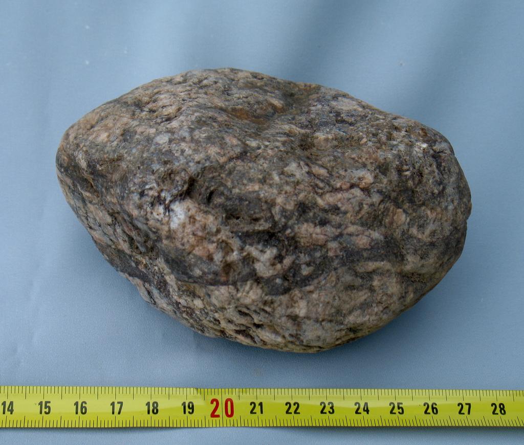 ! Fig. 5: (IMG_3341.
