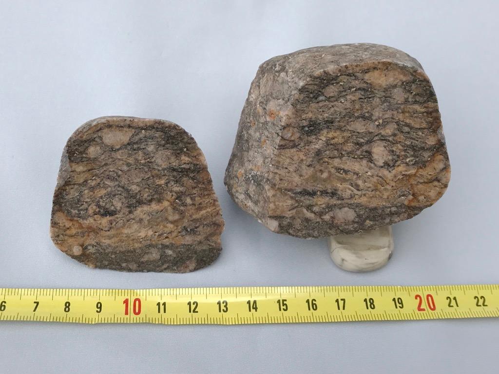 ! Fig. 6: (IMG_0399.