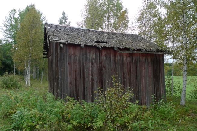 Det är dock för lite och outvecklat material för att kunna bestämma den. Objekt 12 Brädlada i gles skog mellan vallåker och grusväg (foto nedan t.v.). Ladan har spåntak i dåligt skick.