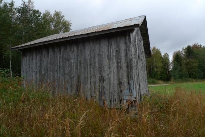 Objekt 13 Brädklädd timmerlada med tak av pannplåt som står mellan en vallåker och en grusväg (foto ovan t.h.). På östra väggen finns ladlav Cypelium tigillare (NT).