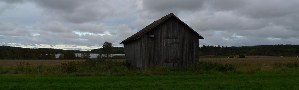 På virket som mest består av 2" 4" växer rikligt med ladlav Cyphelium tigillare (NT),