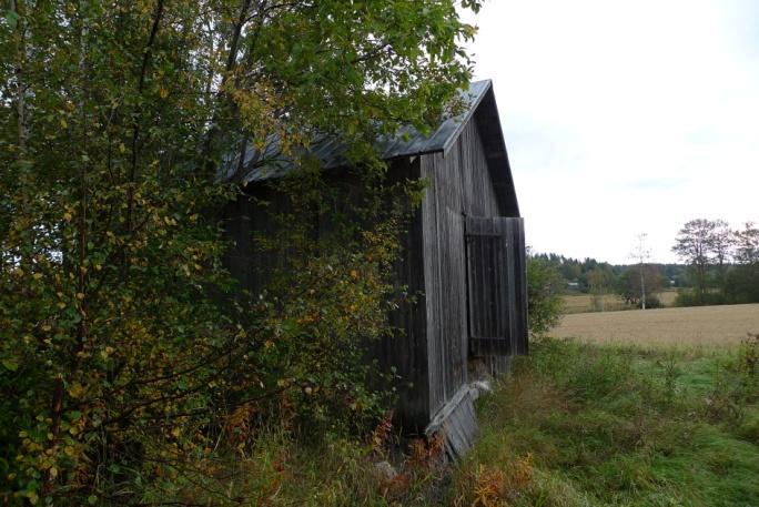 av sädesåker (foto nedan