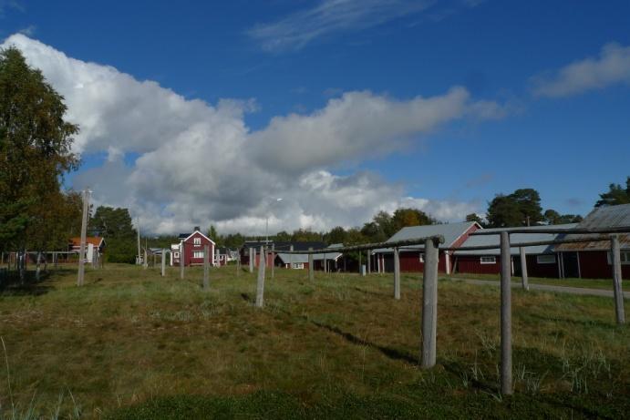 Gistvall Sörfjärden Objekt 25 Här finns en stor Gistvall med ett tjugotal nätställningar.