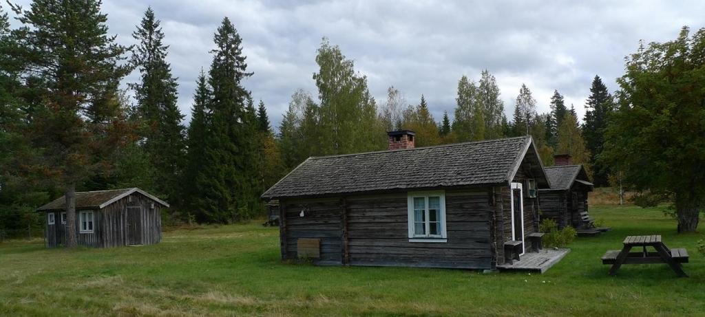 På en av stolparna finns en kvadratdecimeter med ladlav Cyphelium tigillare (NT), ganska nära toppen av stolpen, där viss
