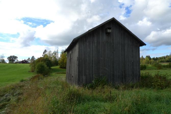 Usnea hirta (foto nedan t.v.) men också ett par bålar med grynig skägglav Usnea lapponica.