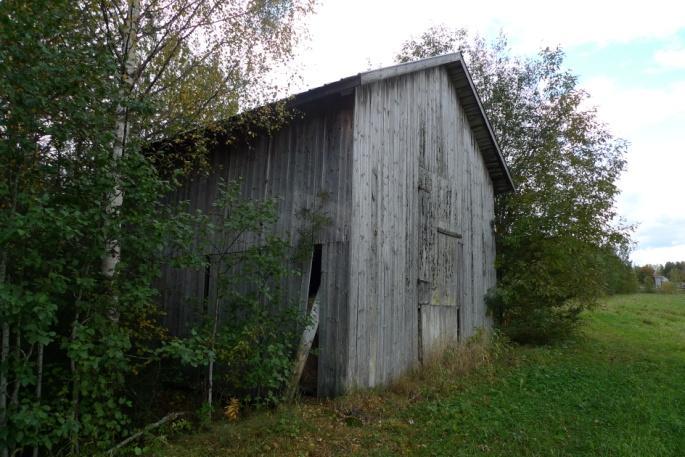 Objekt 38 Brädlada med plåttak som står i en tallungskog (foto ovan t.h.). Inga intressanta arter sågs.
