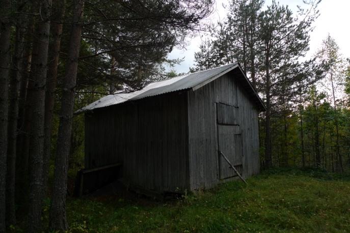 Lavfloran är rikast på norra gaveln med mycket luddig skägglav Usnea hirta och tagellav Bryoria spp.