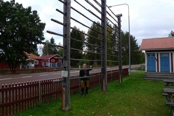kvadratcentimeter. Två bålar är parasiterade av ladparasitspik Sphinctrina anglica (EN).