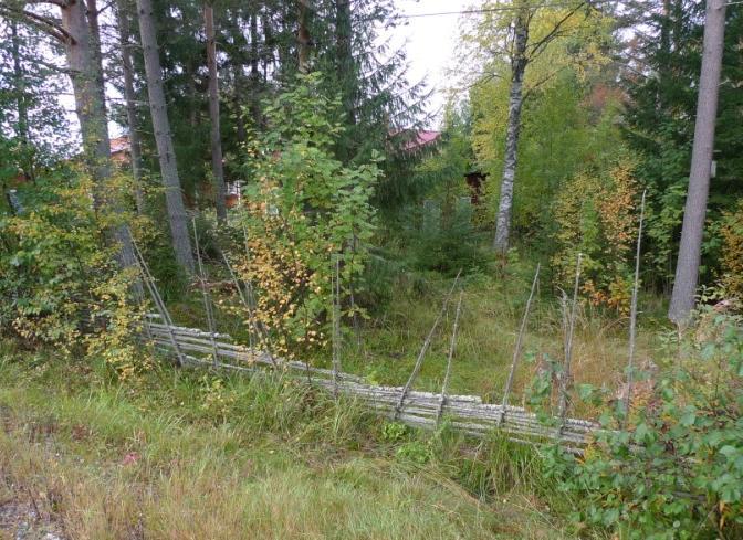 Andra arter på slanorna är vedpyttelav Strangospora moriformis och staketflarnlav Pycnora praestabilis (VU).