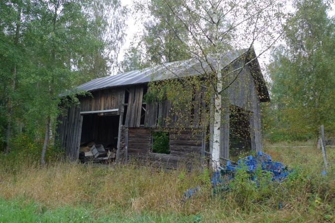 På sydvästra sidan finns ungefär 50 kvadratcentimeter med sydlig ladlav Cyphelium notarisii (EN) på den andra och fjärde stocken nerifrån.