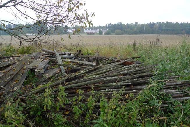 Objekt 56 Ladruin och hässjevirke längs med traktorväg mellan två sädesåkrar (foto nedan). Rikligt med flarnlav Hypocenomyce scalaris.
