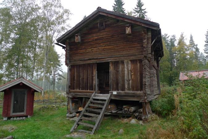 På södra knuten finns thelomma Thelomma ocellatum.