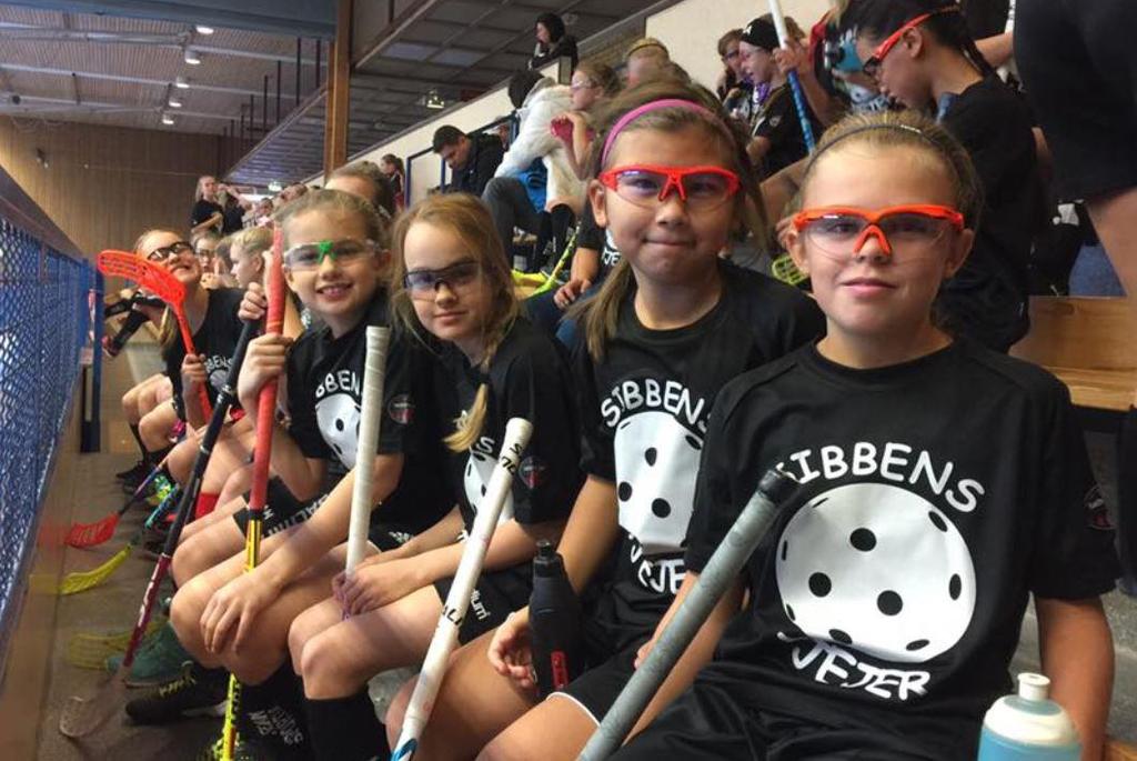 Skövde IBF det självklara valet för dig som gillar innebandy! I detta dokument beskriver vi vår förening, vår verksamhetsidé, våra visioner och mål.