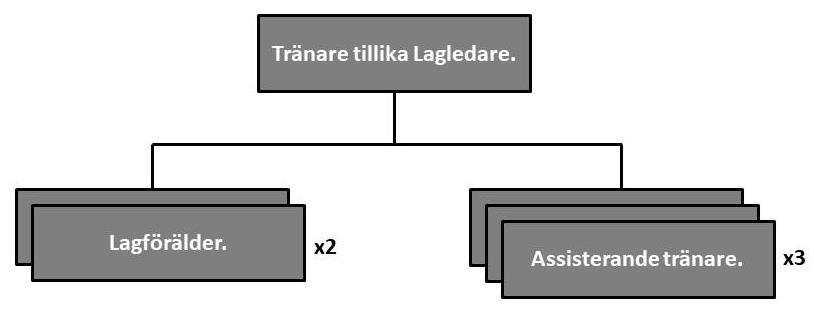 Organisation runt ett lag Föreningens lag är indelade i sex nivåer; åldersgrupp 6-9 år, åldersgrupp 9-12 år, åldersgrupp 12-16 år, åldersgrupp 16-21+ (juniorlag), representationslag (A-lag) samt