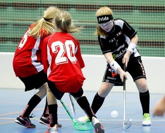 Sportverksamhet Sportgruppen ansvarar för föreningens junior- och seniorverksamhet. Ungdomsansvarig och ungdomsgruppen ansvarar för föreningens barn- och ungdomsverksamhet.