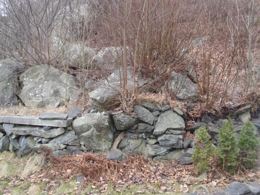 2.1 Delområde A Bergslänten (baksidan av befintligt hus) består av uppsprucket berg med tydliga branta sprickplan i nordlig och nordostlig riktning.