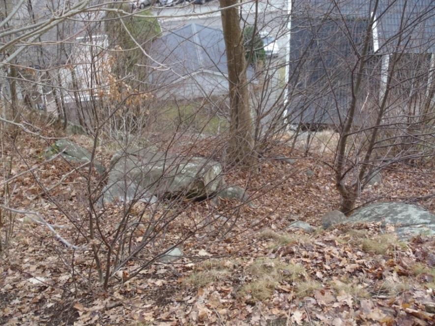 2.2 Delområde B I södra delen sluttar berget brant åt öst. Slänten är bevuxen med träd och sly. Lösa block förekommer i slänten (Figur 4).