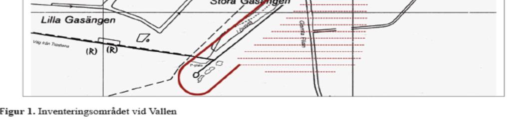 Nytt för detta år är att inga hävdande par/hanar väster om reservatsgränsen samt skogsområdet norr om