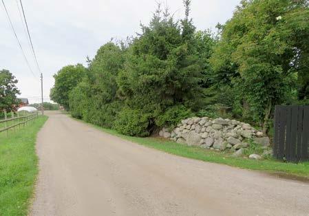 BILDER Widebergs