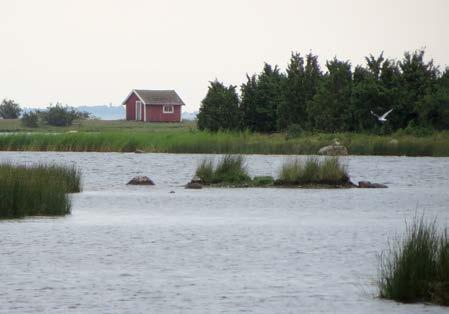 Ekskogen (Gunnarstorp 6).