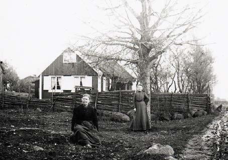 Norrgården (Gunnarstorp 3) var fram till omkring 2012 också en gammal släktgård i cirka 150 år.