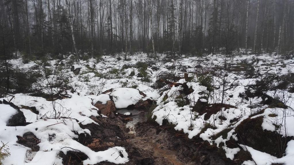 Markavvattning i skogen eller en