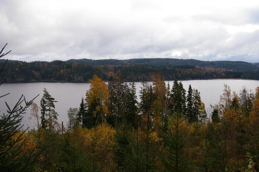 Hur viktar vi produktion och miljö? När vi har bristfällig kunskap kring nyttan av dikesrensing När vi har en rad kända, allvarliga och långtgående miljöeffekter av dikesrensning.