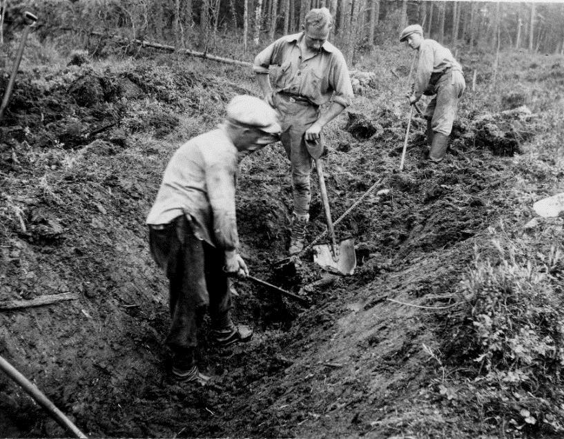 Historik över 3 milj ha skogsmark har dikats ca 2,2 milj ha