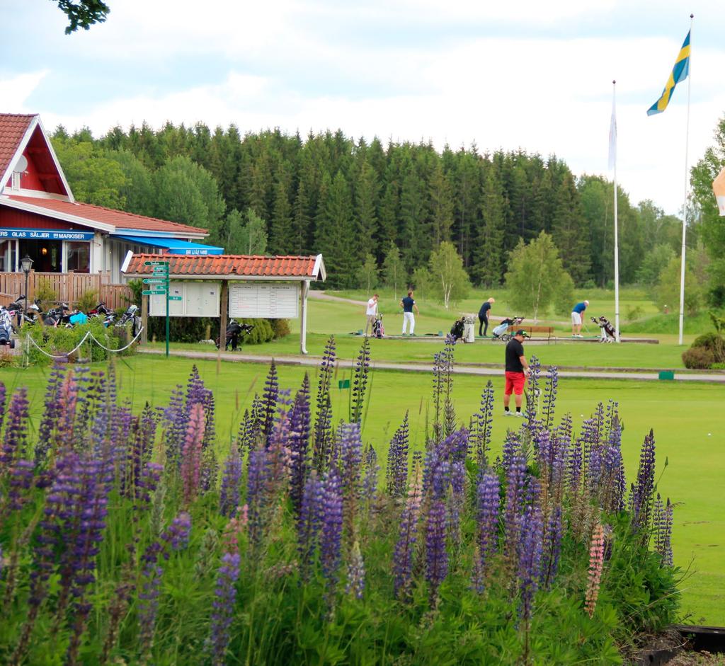 12 Strategiska områden med övergripande mål 2025 Strategiskt område: Idrott i förening Övergripande mål: Svensk idrott ska vidareutvecklas, samverka med andra aktörer och ge goda möjligheter att