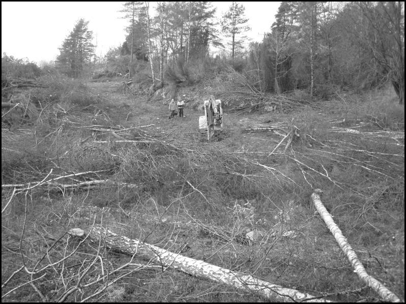 Åtgärdsförslag Lundby 264 boplats Den 230 m långa boplatsen har som ett resultat av förundersökningen reducerats till två mindre ytor, en i norr och en i sydväst.