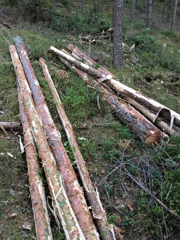 SKOGSMÄSTARPROGRAMMET Examensarbete 2017:07 Ökade kostnader vid aptering av tremeters massaved jämfört med