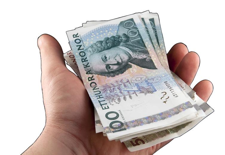I SAM Internet ska du ta med all jordbruksmark som du har rätt att bruka eller sköta den 15 juni. Du ska också rita skifte på all mark och ange gröda eller markanvändning.