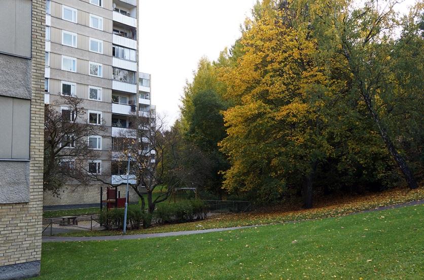 Planområdets norra del utgörs av en skogsbevuxen